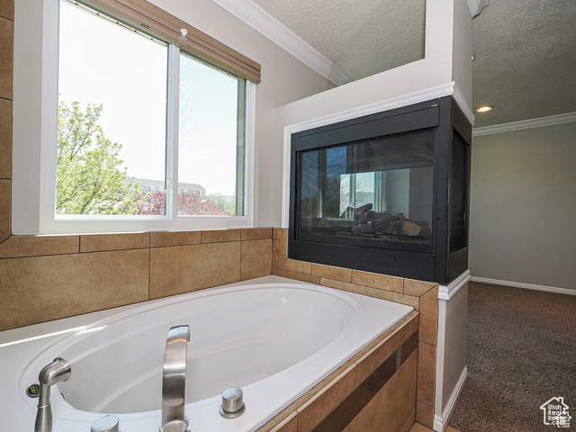 Photo 39 for MLS #2101523 at 12261 S Stephens View Circle