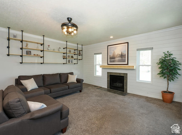 Photo 22 for MLS #2101523 at 12261 S Stephens View Circle