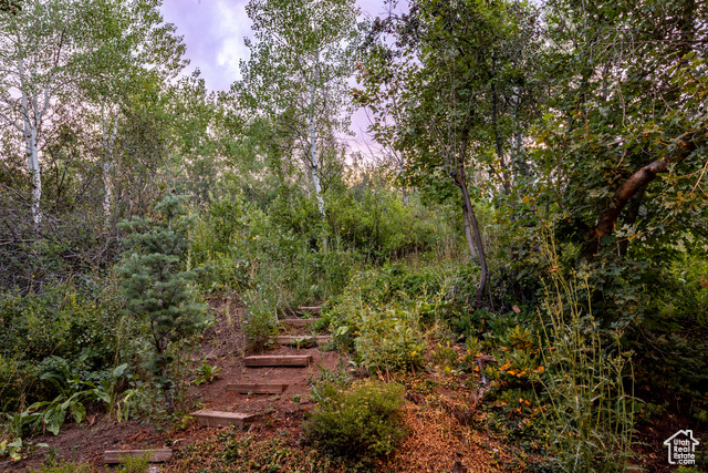 Photo 41 for MLS #2101525 at 4320 Hidden Cove Rd
