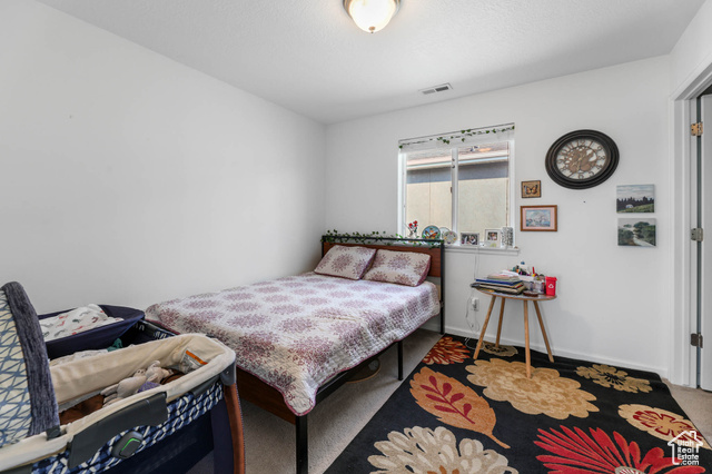 Photo 37 for MLS #2101623 at 12276 S Bigbend Park Dr