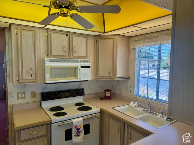 Photo 12 for MLS #2101631 at 1160 E Telegraph St #59