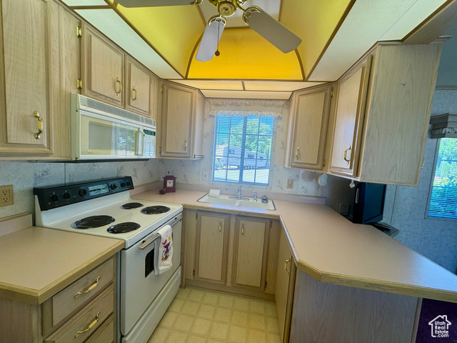 Photo 11 for MLS #2101631 at 1160 E Telegraph St #59