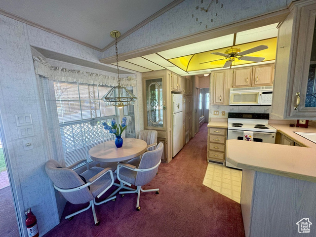 Photo 8 for MLS #2101631 at 1160 E Telegraph St #59