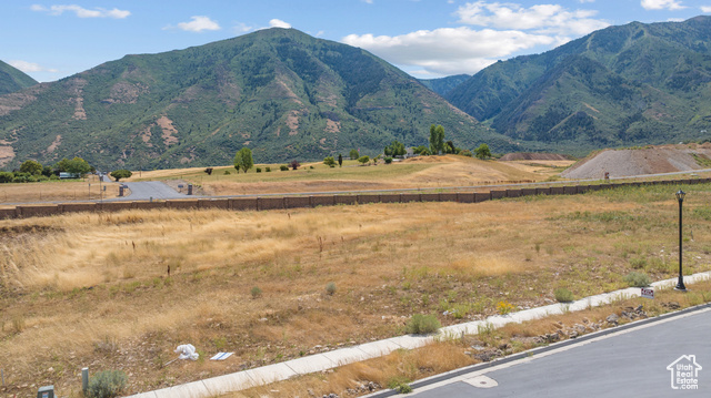 1515 S 920 E, Salem UT 84653