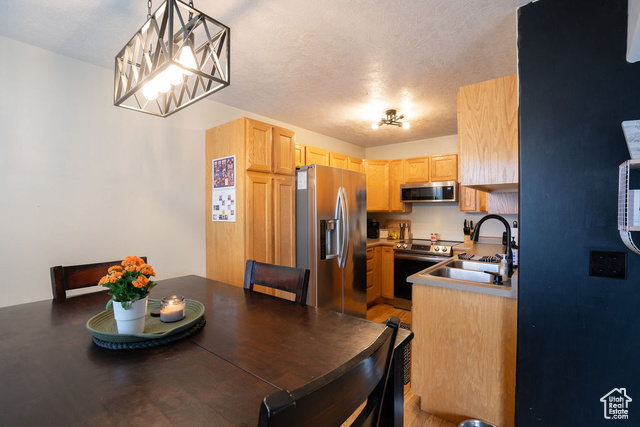 Photo 3 for MLS #2101693 at 1646 W Madison Ridge Ln