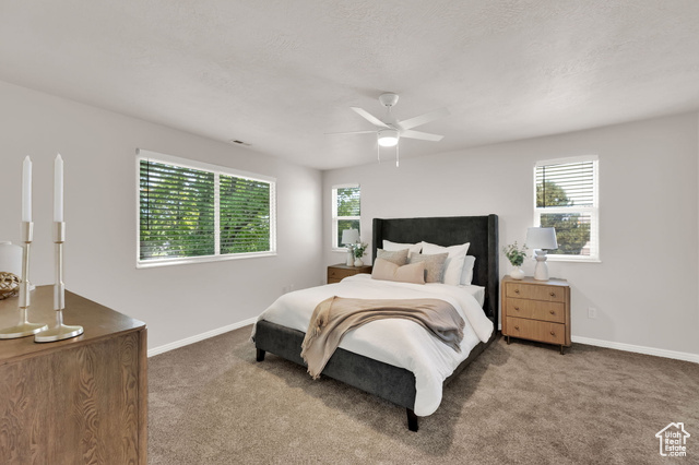 Photo 22 for MLS #2101747 at 1245 W Sienna Way