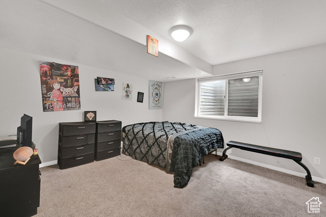 Photo 20 for MLS #2101833 at 422 E 800 North