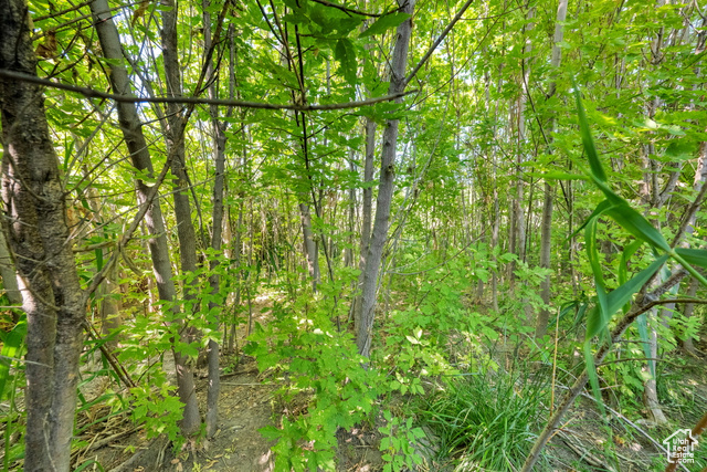 Photo 86 for MLS #2101870 at 1632 S Main St