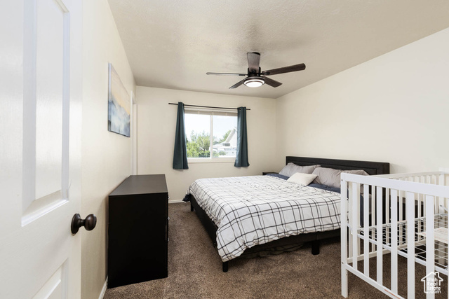 Photo 11 for MLS #2101906 at 2142 E Fall St