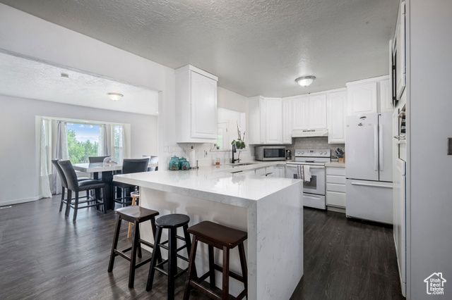 Photo 10 for MLS #2102099 at 5496 W Peggy Ln