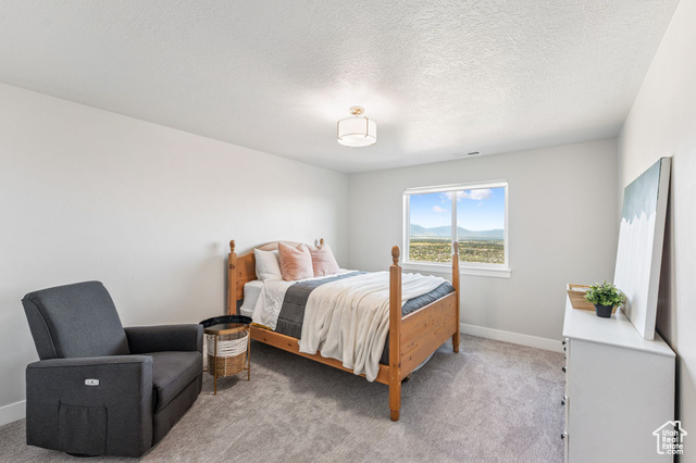 Photo 25 for MLS #2102104 at 4374 N Summer View Dr