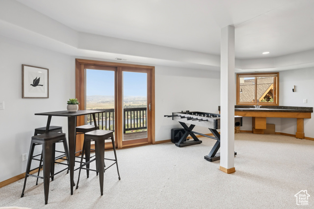 Photo 52 for MLS #2102154 at 2044 Mahre Dr