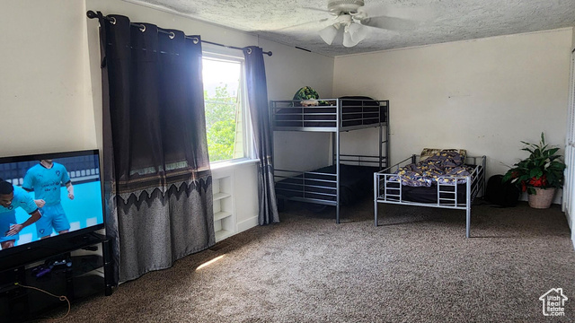 Photo 19 for MLS #2102257 at 4520 S Julep Dr
