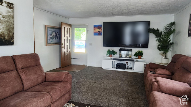Photo 12 for MLS #2102257 at 4520 S Julep Dr