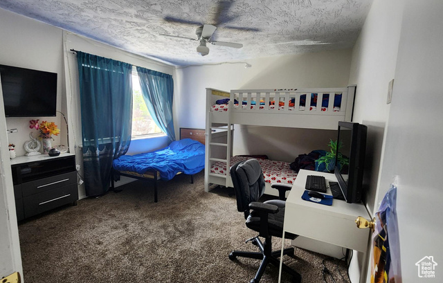 Photo 18 for MLS #2102257 at 4520 S Julep Dr