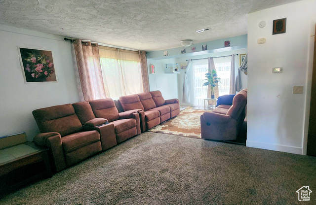 Photo 11 for MLS #2102257 at 4520 S Julep Dr