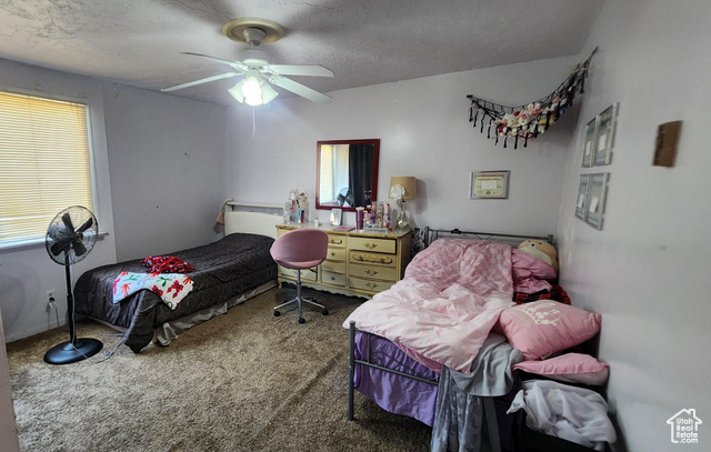 Photo 7 for MLS #2102257 at 4520 S Julep Dr