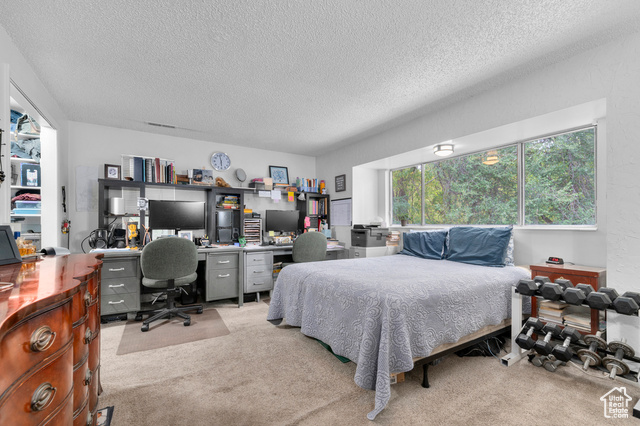 Photo 26 for MLS #2102263 at 1243 E Siesta Dr