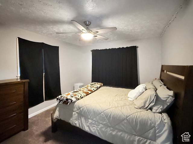 Photo 9 for MLS #2102332 at 1363 Lewis Dr