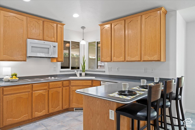 Photo 14 for MLS #2102448 at 9182 S Wisteria Way