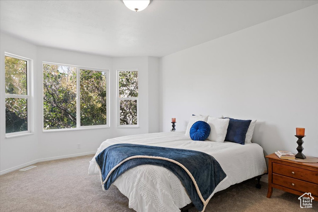 Photo 23 for MLS #2102448 at 9182 S Wisteria Way
