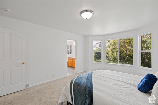 Photo 22 for MLS #2102448 at 9182 S Wisteria Way
