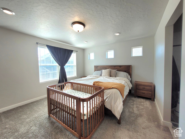Photo 7 for MLS #2102541 at 37 S Tule Valley Ct
