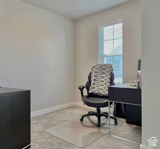 Photo 9 for MLS #2102541 at 37 S Tule Valley Ct
