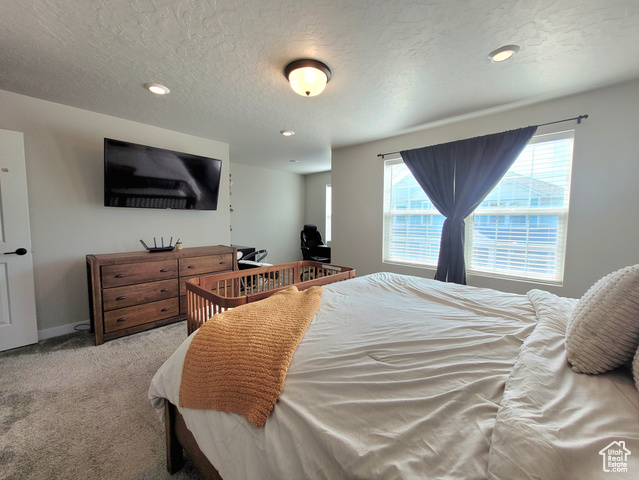 Photo 8 for MLS #2102541 at 37 S Tule Valley Ct