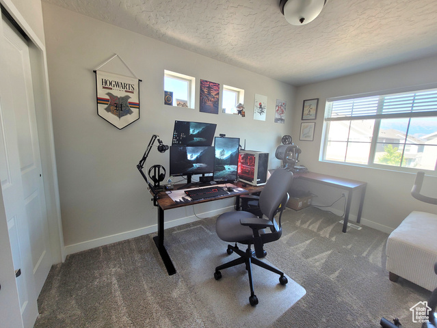 Photo 13 for MLS #2102541 at 37 S Tule Valley Ct