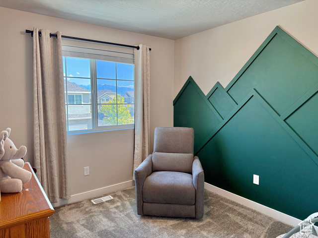 Photo 14 for MLS #2102541 at 37 S Tule Valley Ct