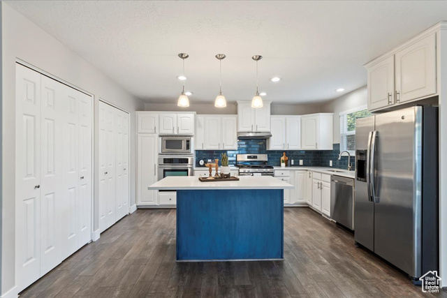 Photo 6 for MLS #2102542 at 4089 S Edith Grove Ln