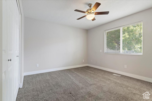 Photo 14 for MLS #2102542 at 4089 S Edith Grove Ln