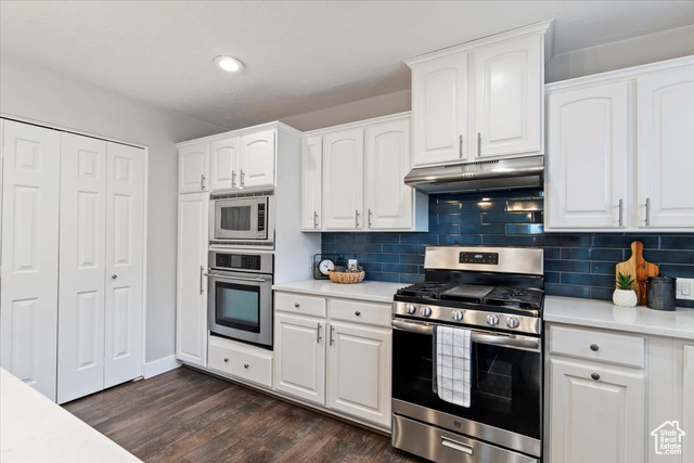 Photo 7 for MLS #2102542 at 4089 S Edith Grove Ln