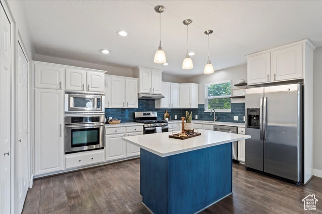 Photo 23 for MLS #2102542 at 4089 S Edith Grove Ln