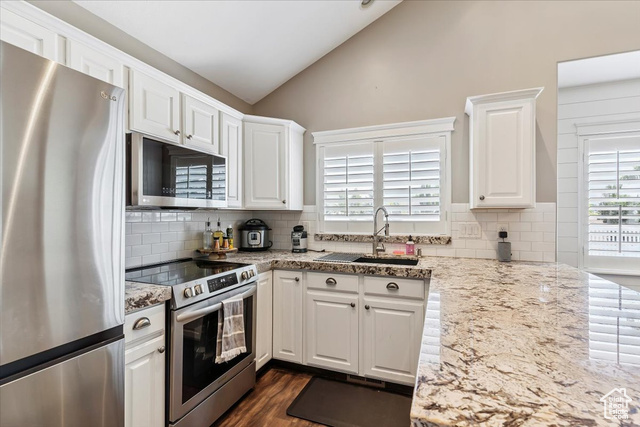 Photo 11 for MLS #2102633 at 1441 Bridgeview Dr
