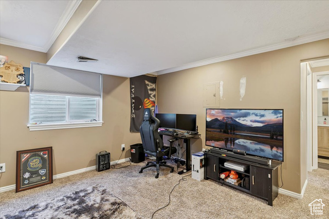Photo 24 for MLS #2102633 at 1441 Bridgeview Dr