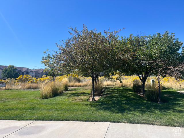 8251 N RANCHES PKWY, Eagle Mountain UT 84005