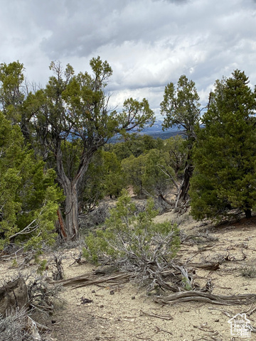 , Fruitland UT 84027