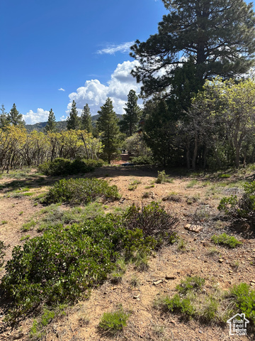 733  BONNIE GREEN DR, Duck Creek Village UT 84762