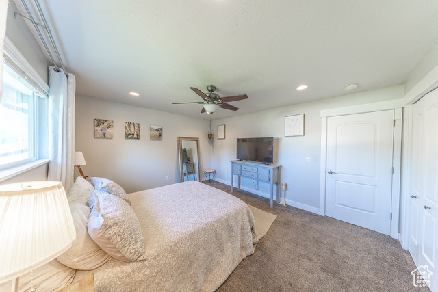 Photo 19 for MLS #2102792 at 228 E Golden Willow Cir