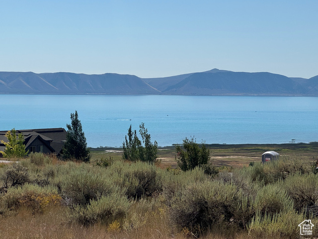 115  LUPINE, Fish Haven ID 83287