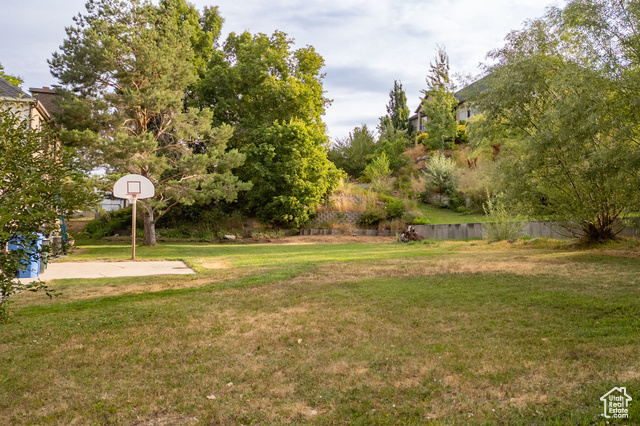 Photo 54 for MLS #2102953 at 591 E Vons Way