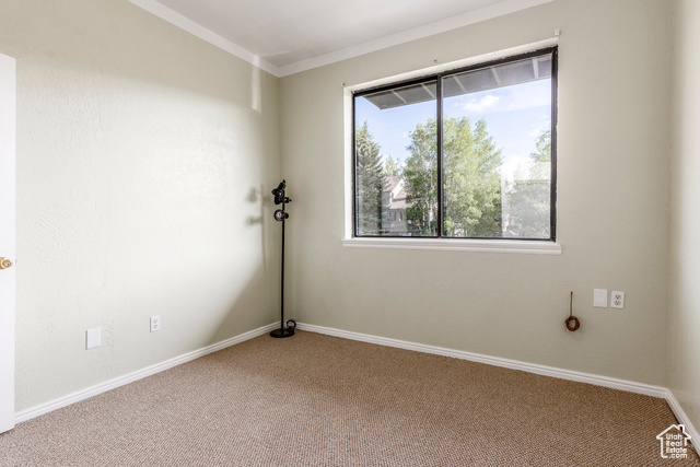 Photo 20 for MLS #2102971 at 2708 Cottage Loop