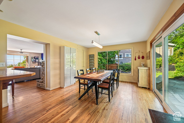 Photo 10 for MLS #2103033 at 4521 S Bruce