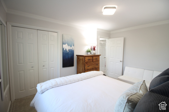 Photo 31 for MLS #2103034 at 665 E Bristlecone Ln