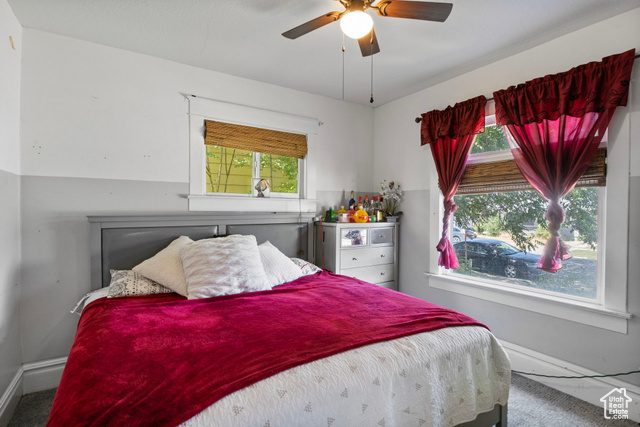 Photo 8 for MLS #2103054 at 325 34th St