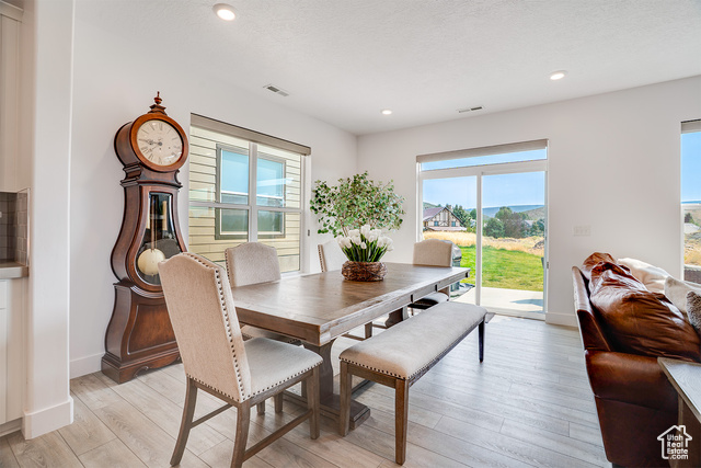 Photo 17 for MLS #2103069 at 1126 N Springer View Loop