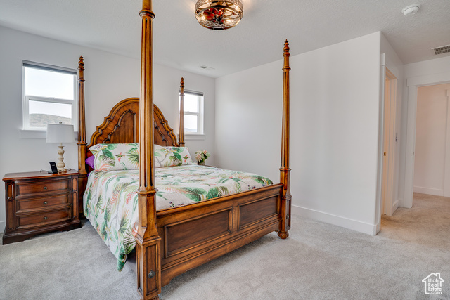 Photo 41 for MLS #2103069 at 1126 N Springer View Loop