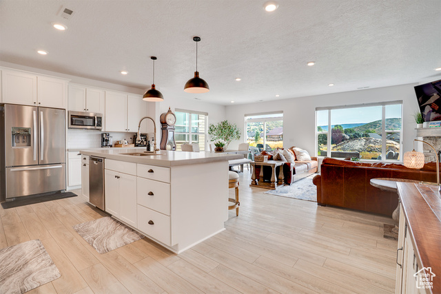 Photo 8 for MLS #2103069 at 1126 N Springer View Loop